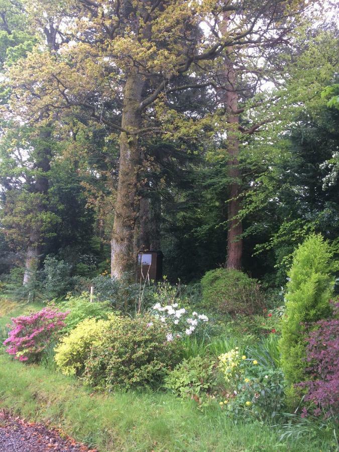 Claremont House Keswick Bed & Breakfast Кесвик Екстериор снимка